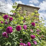 Castello Monticelli Perugia