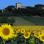Farm stay Castello Monticelli