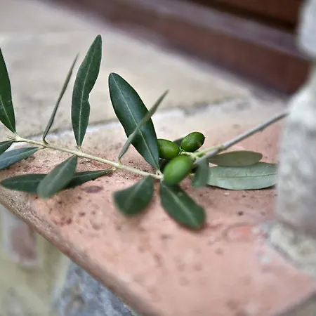 Castello Monticelli * Perugia